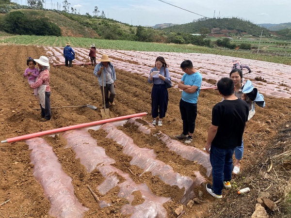 20210516-赴田间地头调研农户种植情况.jpg