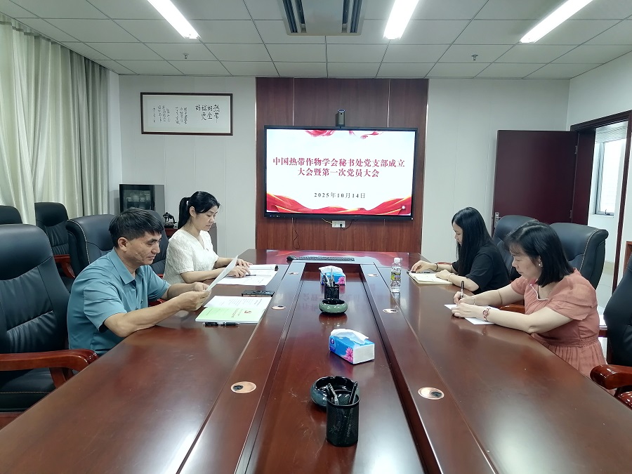 会议现场.jpg